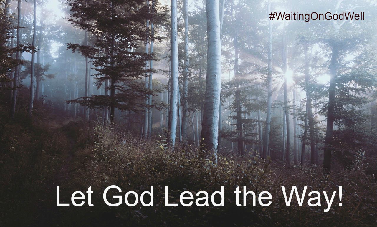 woods-WOGW let God lead