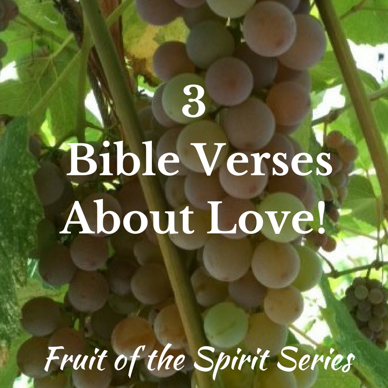 Copy of Fruit of the Spirit Series